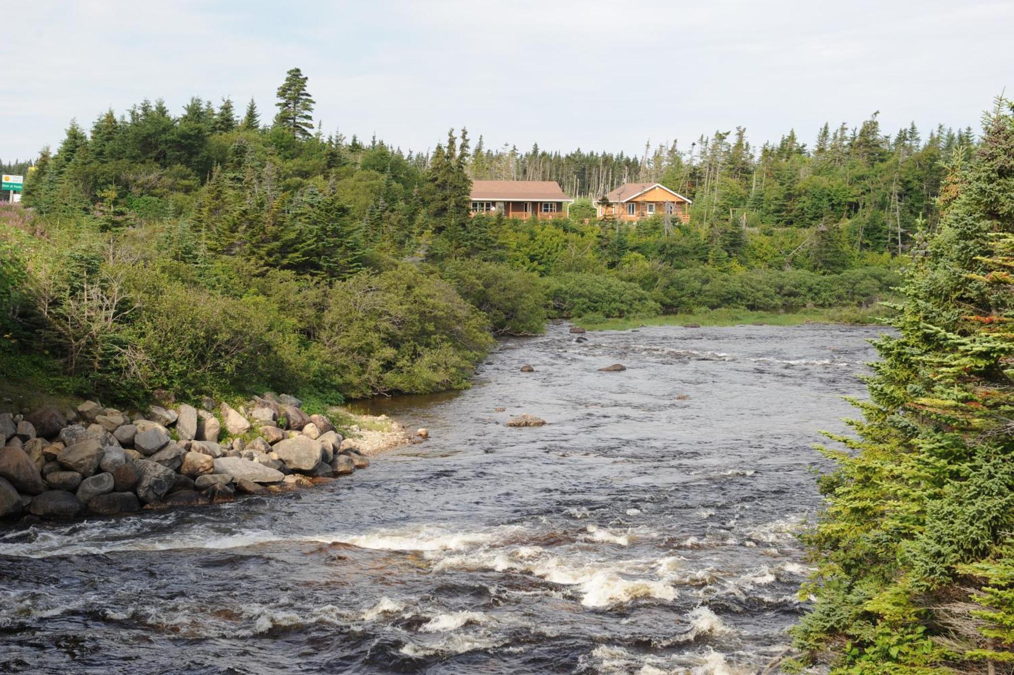 Riverside Chalets River of Ponds Extérieur photo
